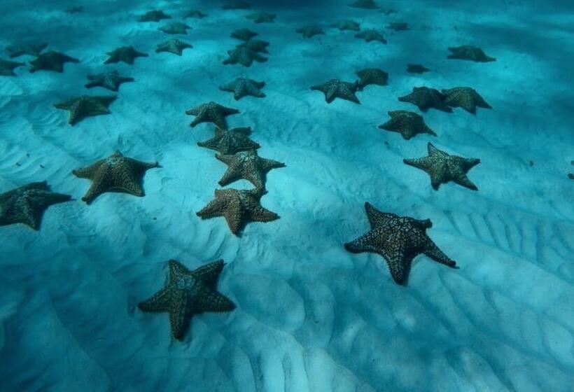 تختخواب و صبحانه Posada Valerie Home