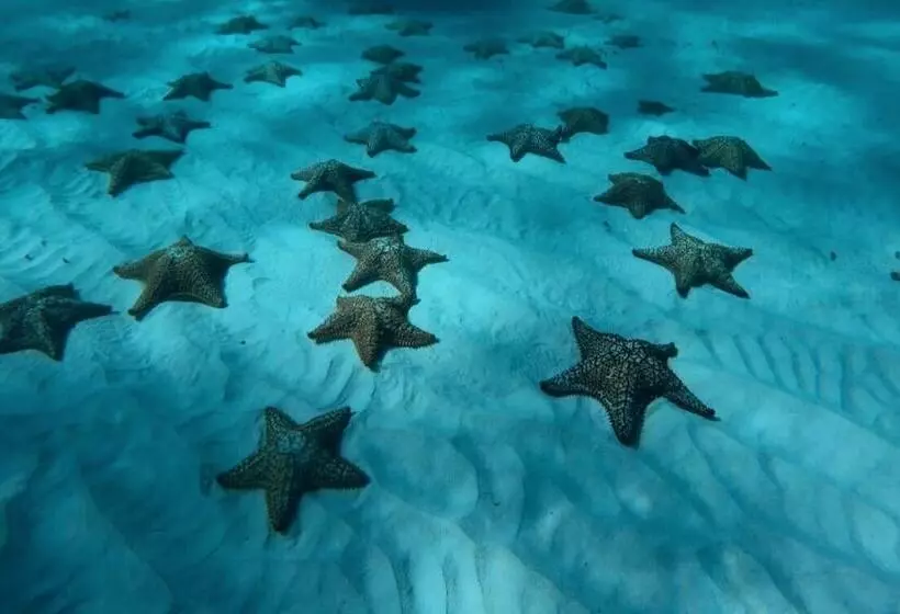 Aamiaismajoitus (B&B) Posada Valerie Home