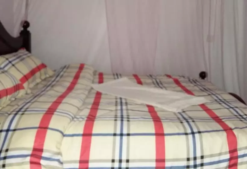 هتل Leisure Park International