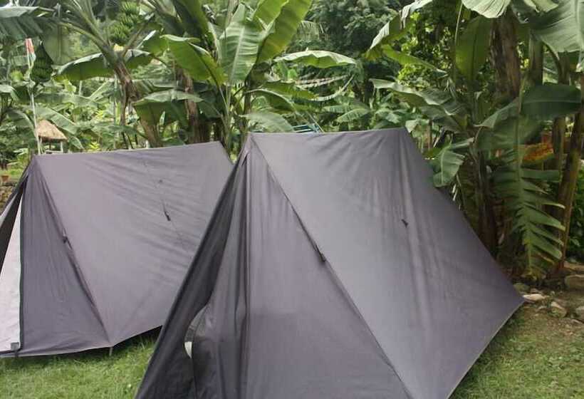 هتل Trishuli Riverside Resort