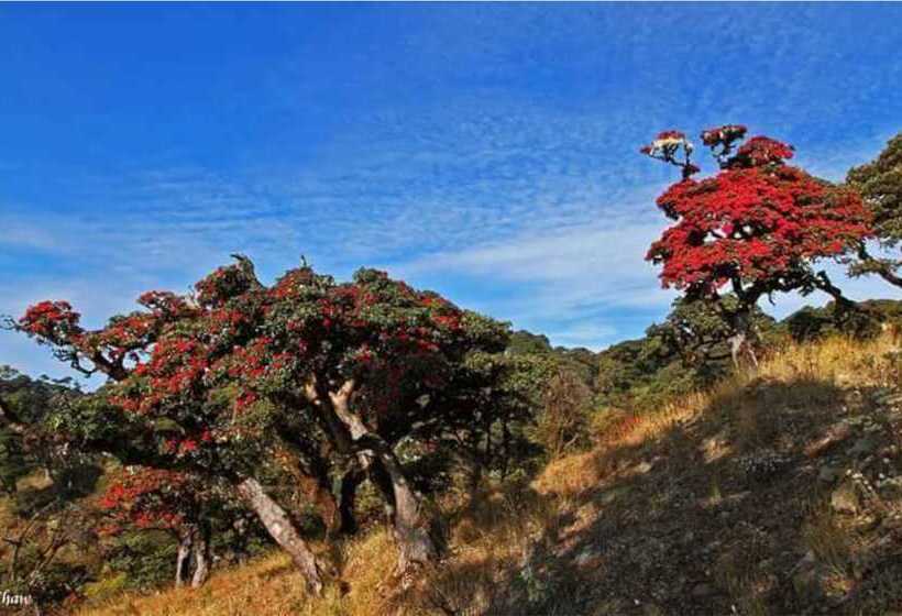 هتل Win Unity Kanpetlet