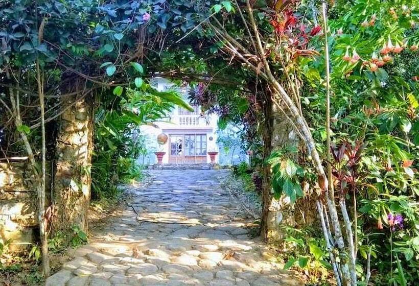 Пансион Laycafé Hostel