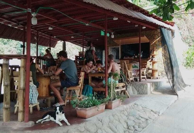 Пансион Laycafé Hostel