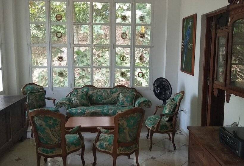 Пансион Laycafé Hostel