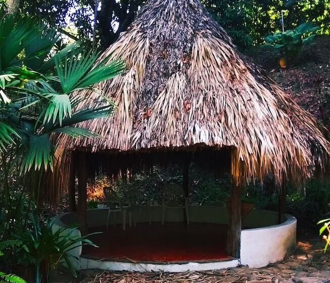 Пансион Laycafé Hostel