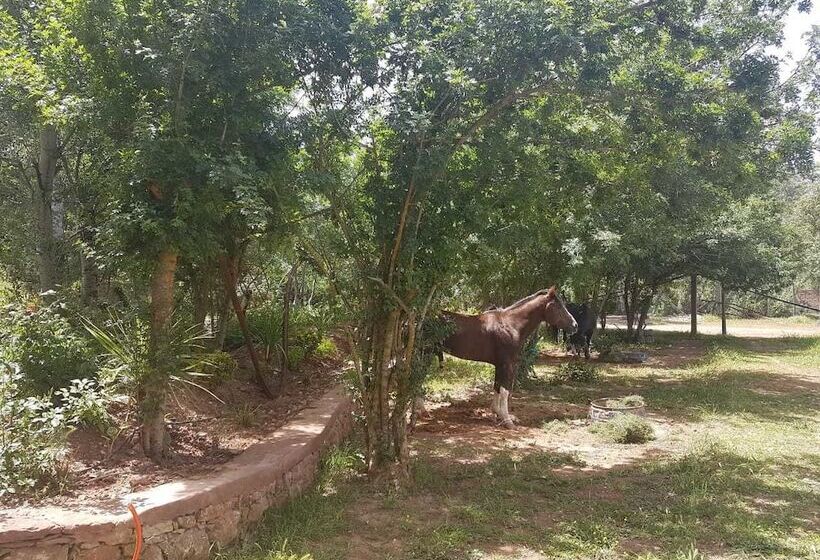 Pension (Hôtel basse catégorie) Riad Aghbalou