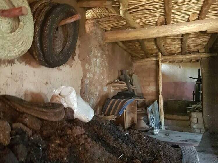 Pension (Hôtel basse catégorie) Riad Aghbalou