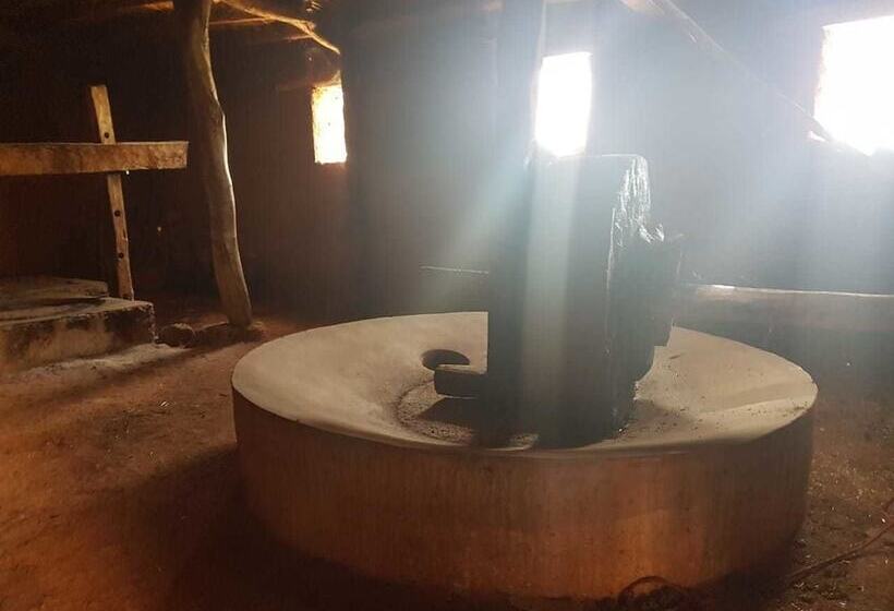 Pension (Hôtel basse catégorie) Riad Aghbalou