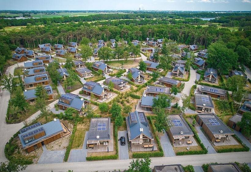 리조트 Bergvliet Villa S