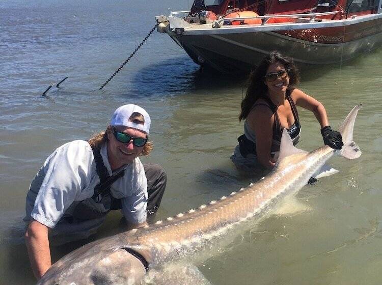 The Fraser River S Edge B&b Lodge