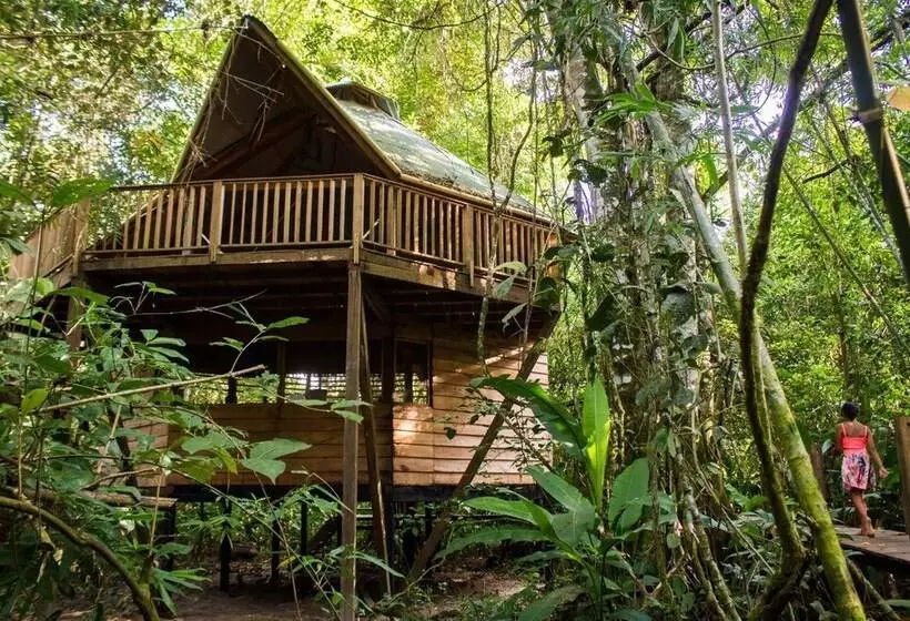 Hotelli La Manigua Lodge