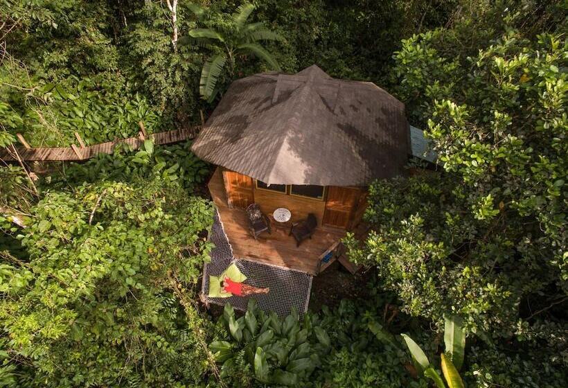 בית מלון כפרי La Manigua Lodge