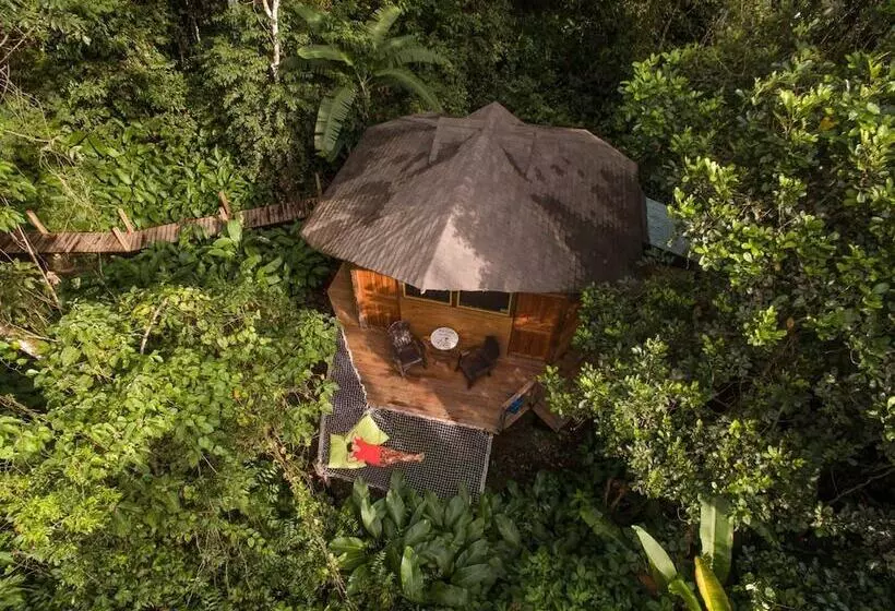 Hotelli La Manigua Lodge