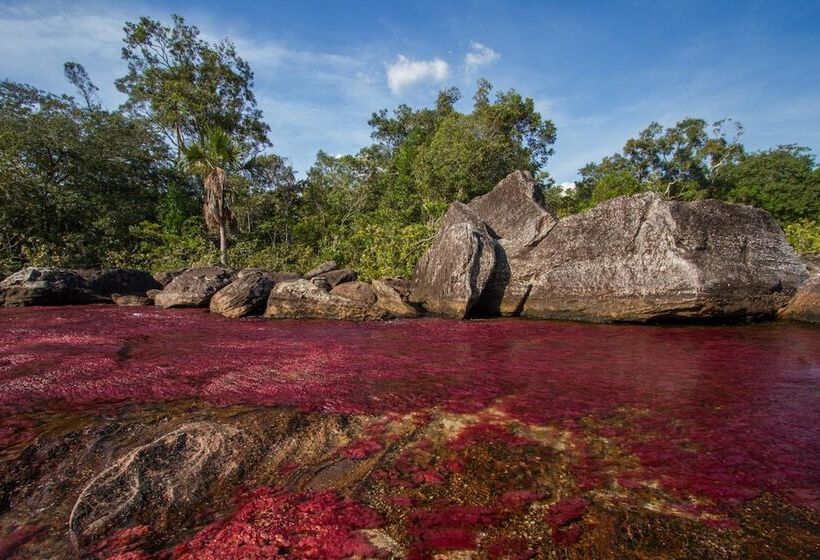 בית מלון כפרי La Manigua Lodge
