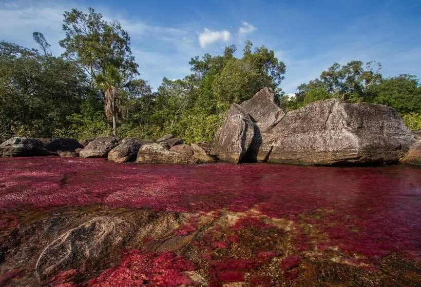 Hotelli La Manigua Lodge