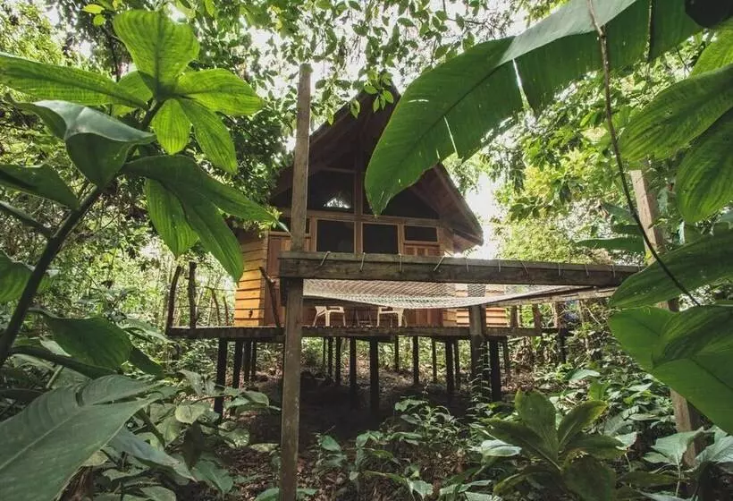 Hotelli La Manigua Lodge