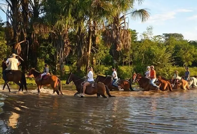 ホテル Queen Sofia