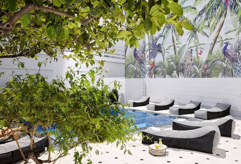 Hotel Vasia Boulevard Adults Only