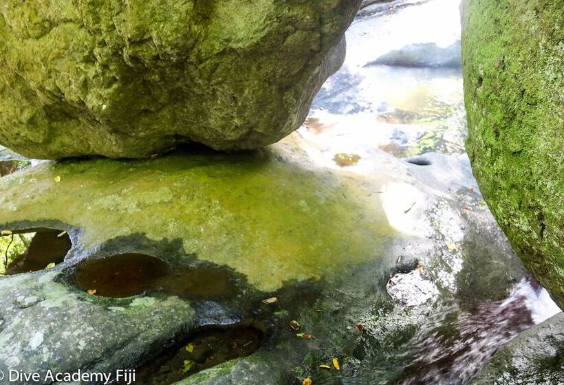Szálloda Viani Bay Resort At Dive Academy Fiji