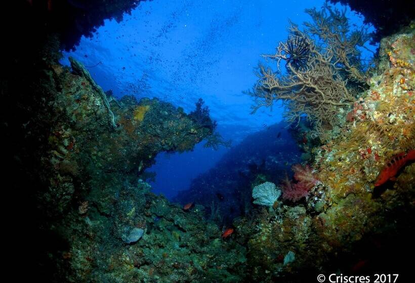 Szálloda Viani Bay Resort At Dive Academy Fiji