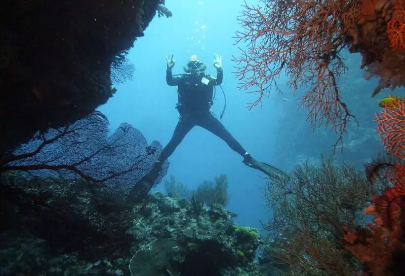 ホテル Viani Bay Resort At Dive Academy Fiji