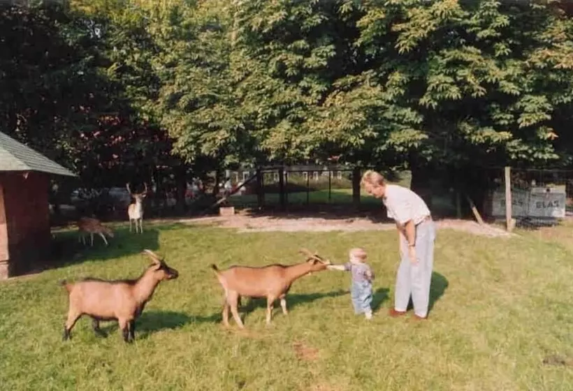 Landhotel Meier Gresshoff