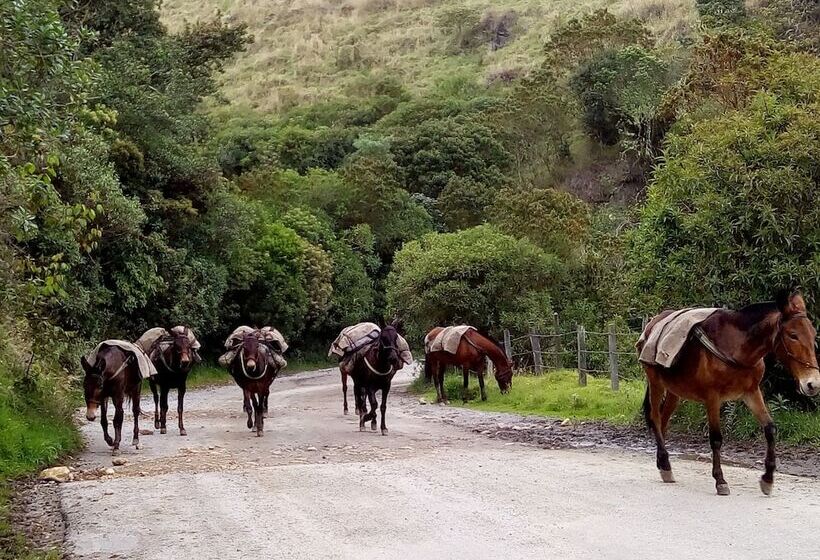 פנסיון Casa Paraíso Murillo