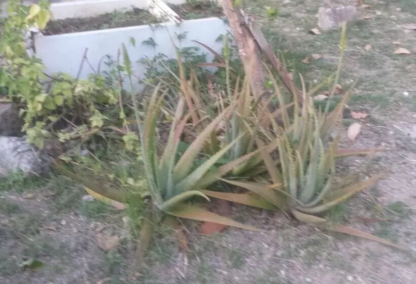 پانسیون Hillside Hideaway