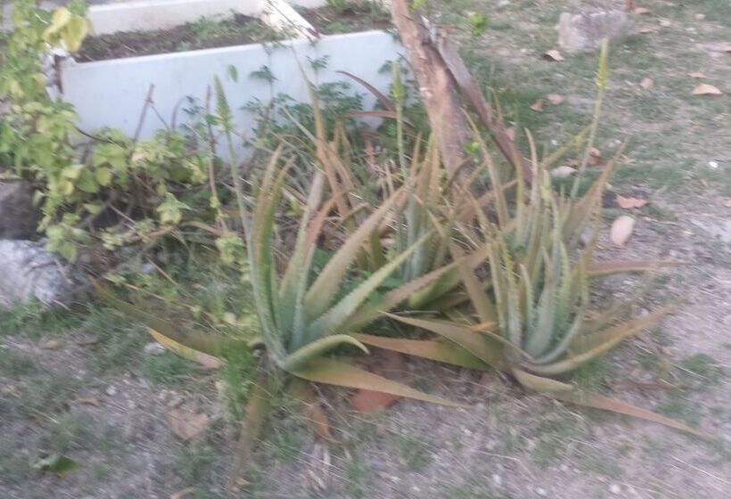 پانسیون Hillside Hideaway