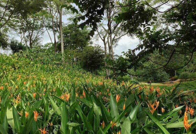 پانسیون Villa Anona Guest House