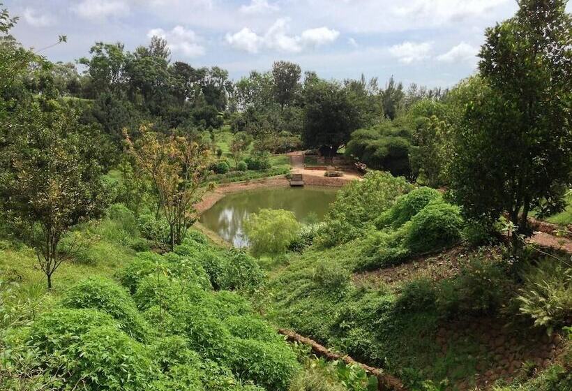 پانسیون Villa Anona Guest House