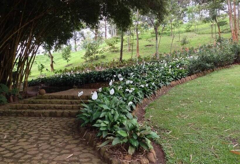 پانسیون Villa Anona Guest House