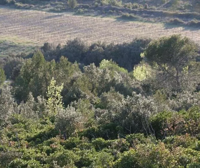 ペンション Villa Hanna Chambres Et Table D Hôtes