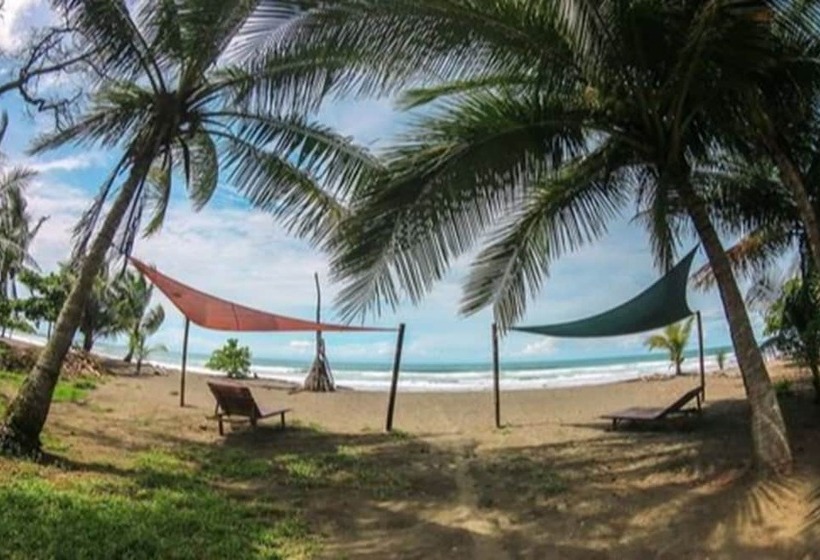 Bed and Breakfast Dos Palmas