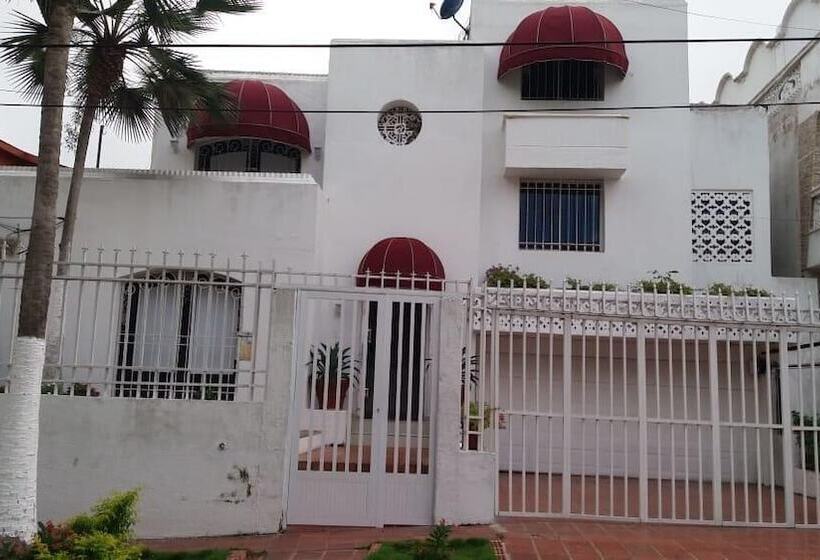 Home Buena Vista   Hostel