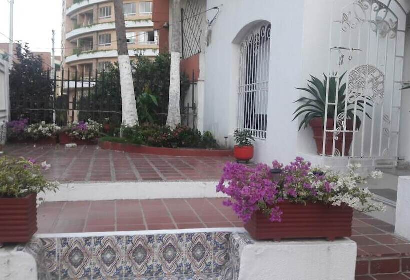 Home Buena Vista   Hostel