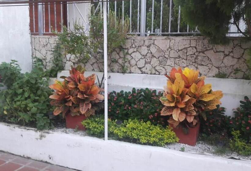 Home Buena Vista   Hostel