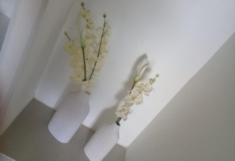 Home Buena Vista   Hostel