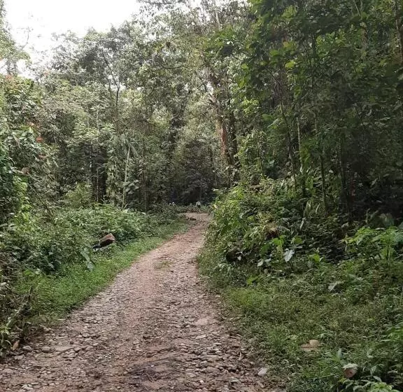 簡易ホテル Los De A Pie