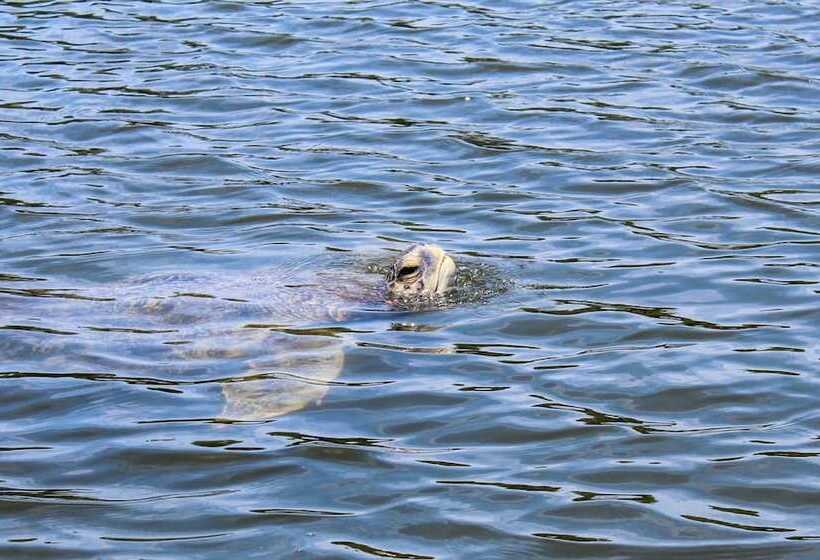 Hostal Mi Casa En La Playa Hostel