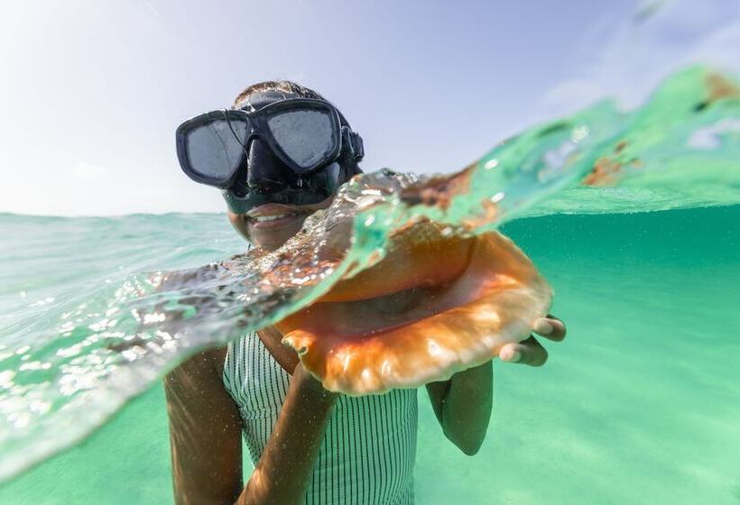 Hotel Ambergris Cay Private Island All Inclusive Pls Island Hopper Flight Included