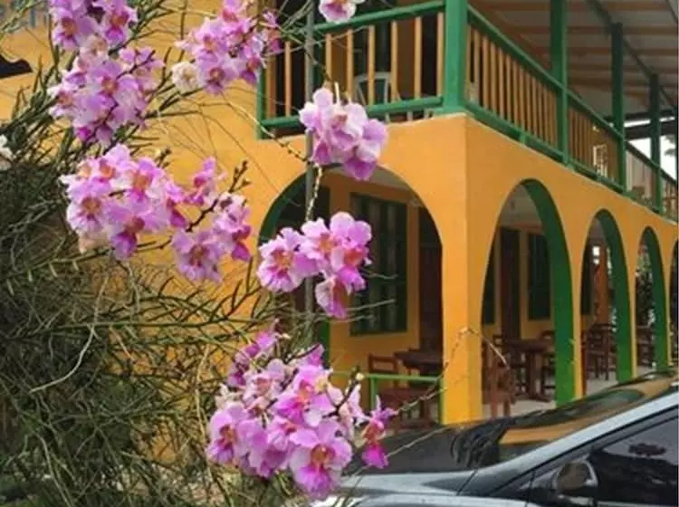 ホテル Cabinas Manzanillo Caribe Sur Cr