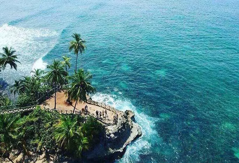 ホテル Cabinas Manzanillo Caribe Sur Cr