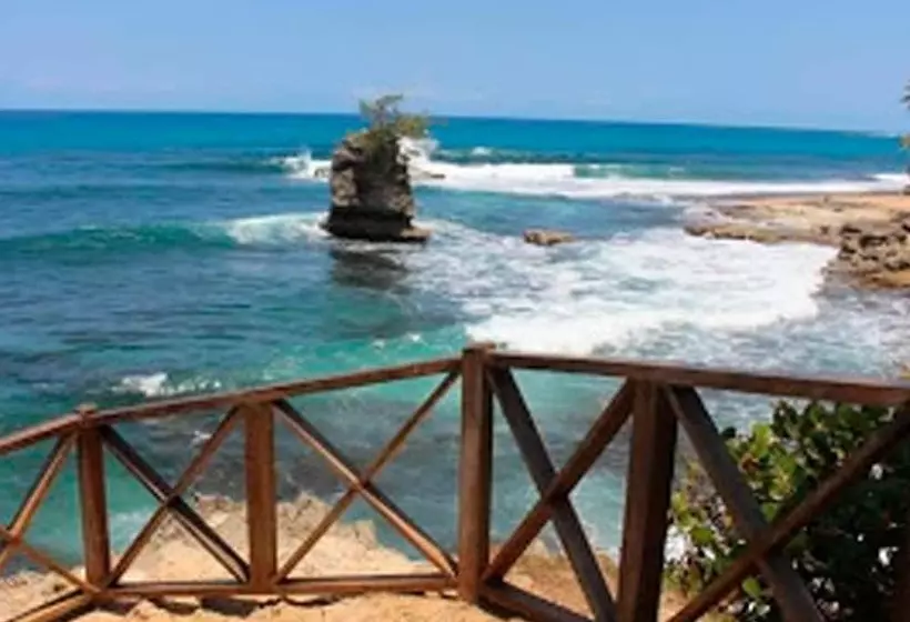 ホテル Cabinas Manzanillo Caribe Sur Cr