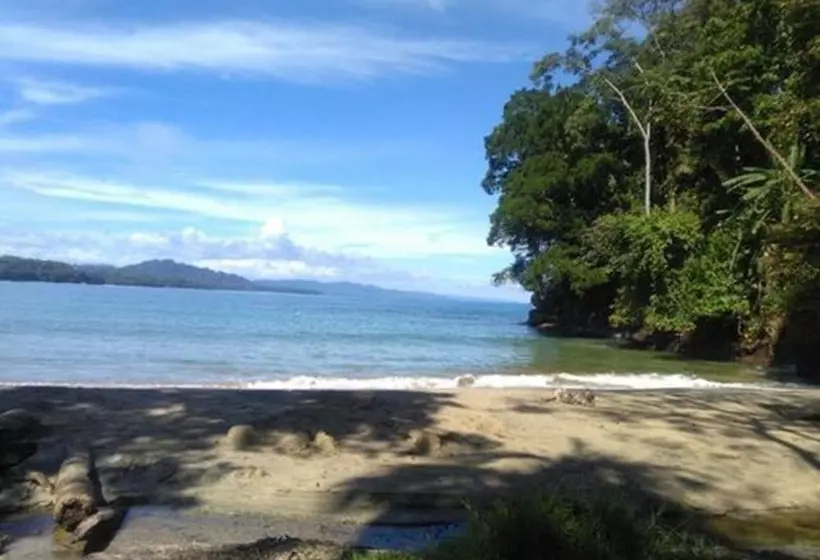 ホテル Cabinas Manzanillo Caribe Sur Cr