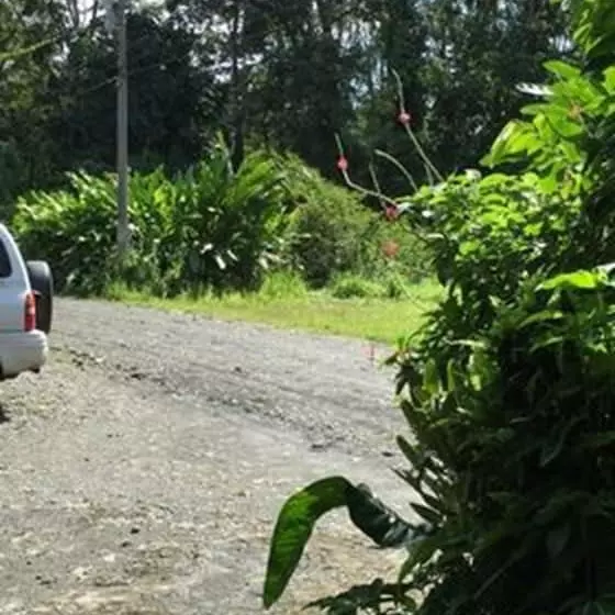 ホテル Cabinas Manzanillo Caribe Sur Cr