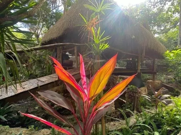 Hotelli Corazón De Selva