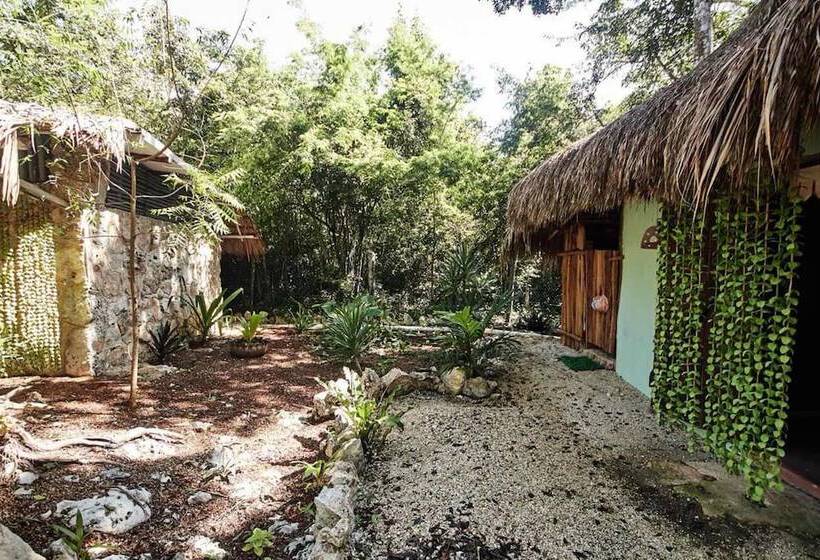 فندق Corazón De Selva