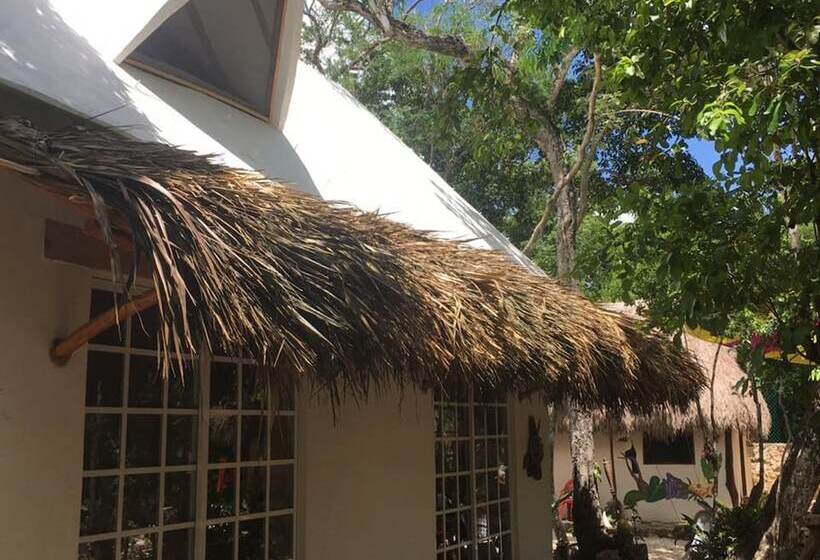 فندق Corazón De Selva