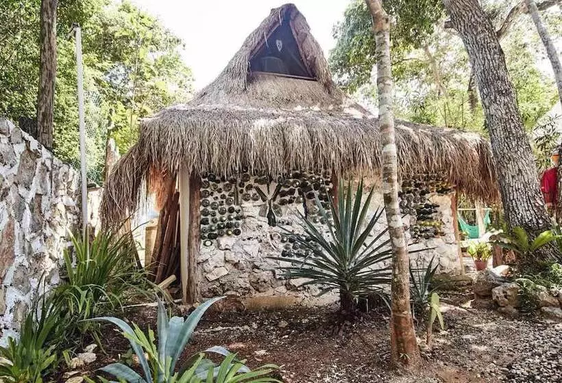 Hotelli Corazón De Selva